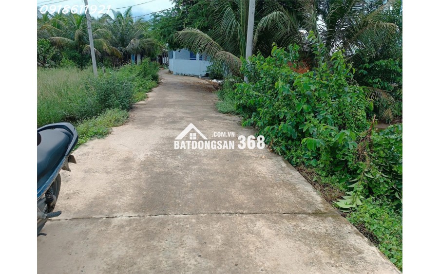  Muốn về quê ở? Miếng đất này đáng để xem qua!